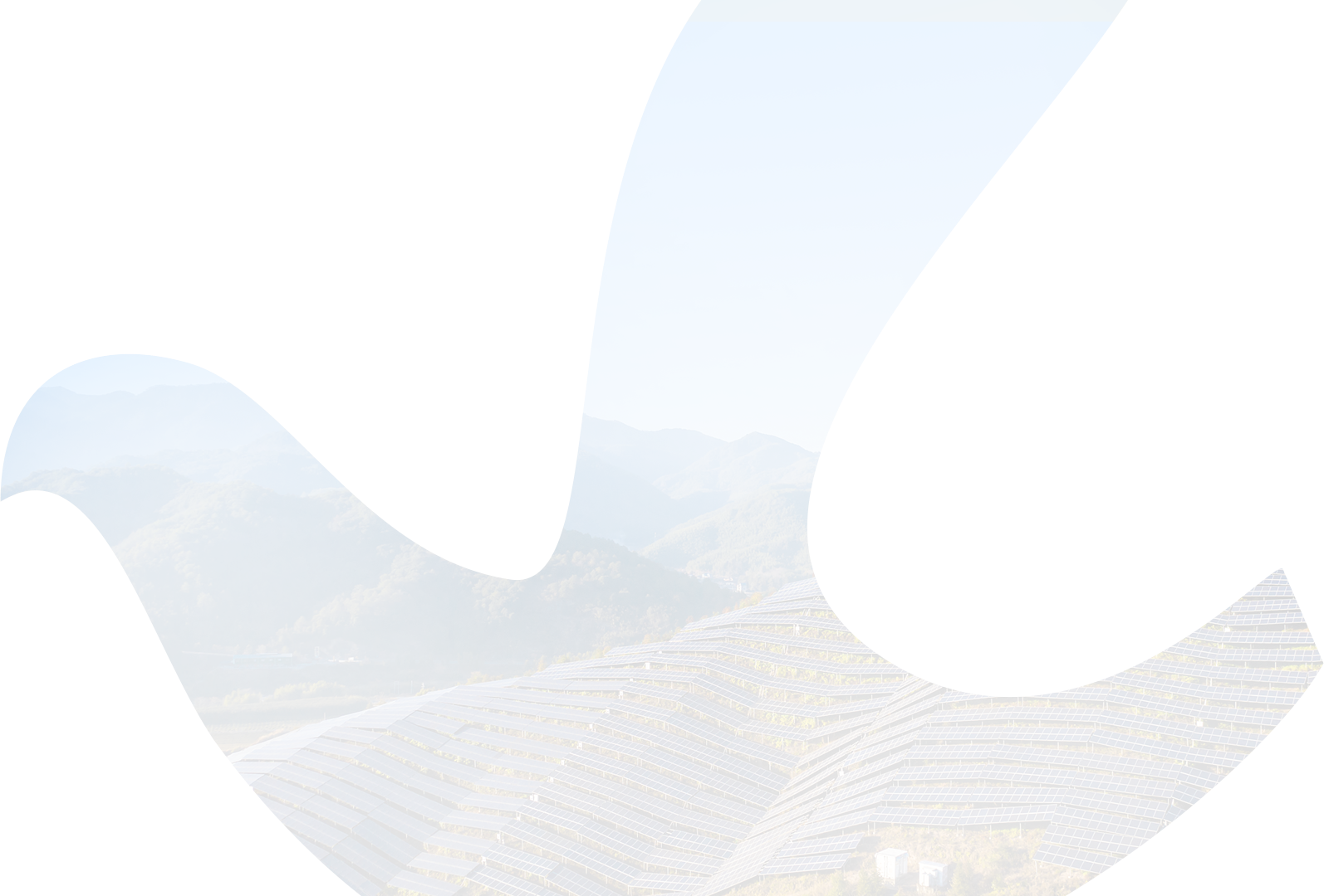 777盛世国际